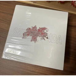 Skullpanda Fatal Enchantment Limited Figure 12 Skullpanda Fatal Enchantment Limited Figure -Cheap Pop Mart Store 1 31102eb5 334f 475c bf2b 462b522f6b98